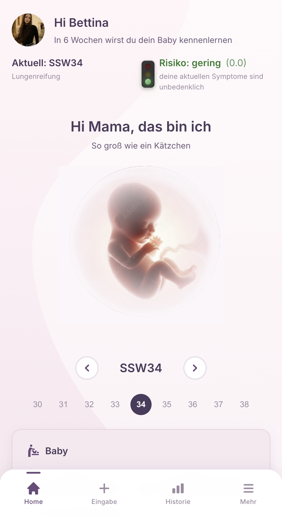 Schwangerschafts-Copilot App Screenshot